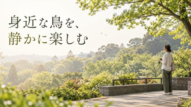 公園の安全な観察場所から、離れた木々を静かに眺める成人のイメージ