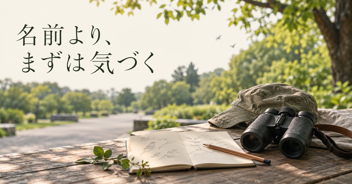 ノートと鉛筆を用意して、身近な鳥の動きに気づく入門イメージ